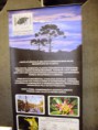/album/selo%20-%20reserva%20da%20biosfera%20da%20mata%20atl%c3%a2ntica/dsc04123-jpg/